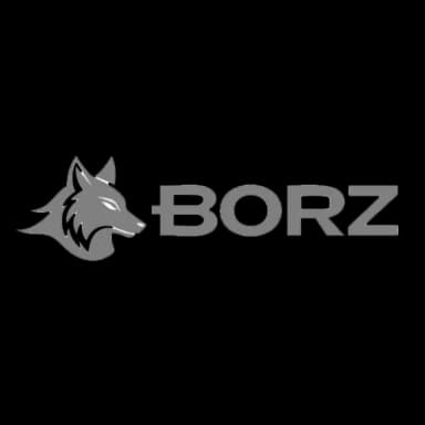 Logo de Borz - Cliente de MenteX