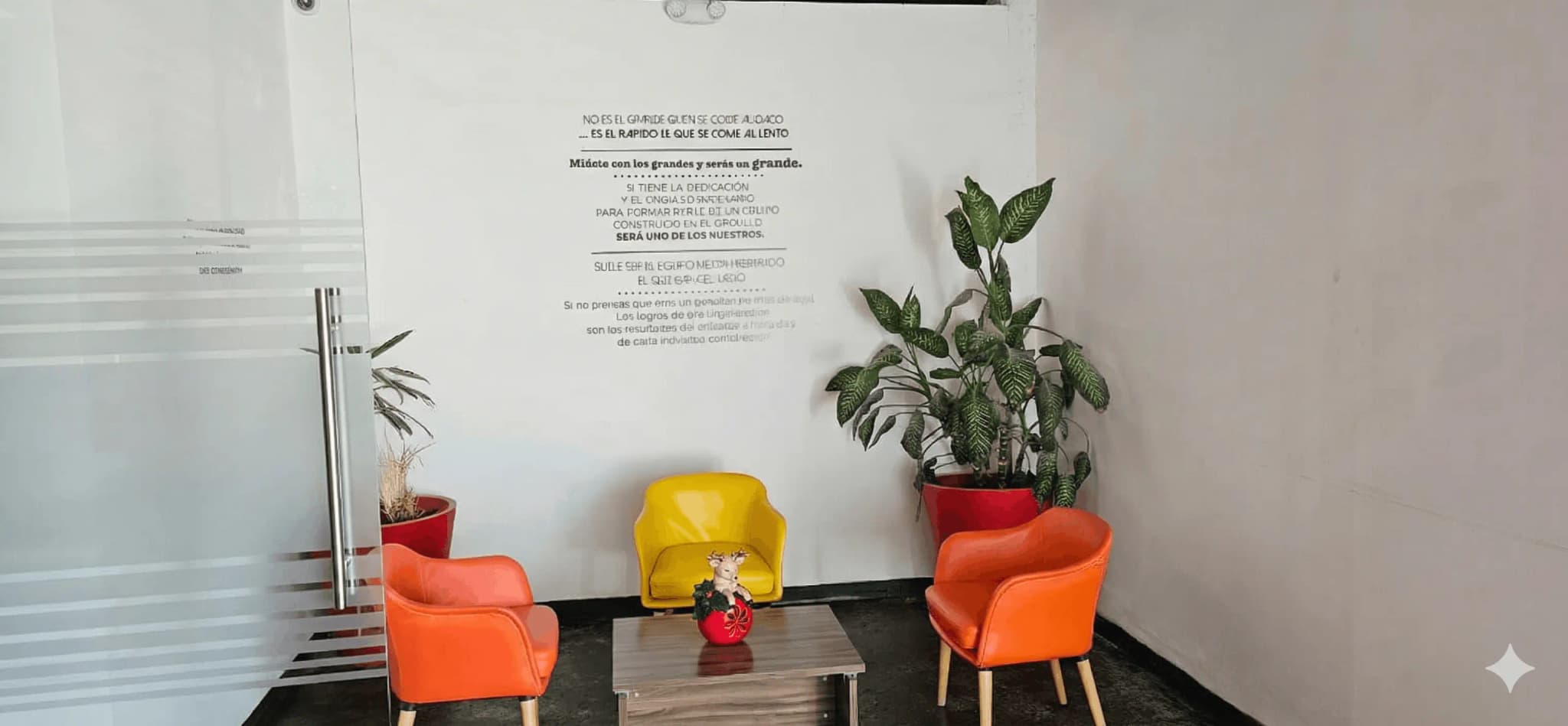 Área de desarrollo MenteX